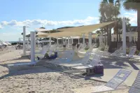 Hyperbolic Sail Shade