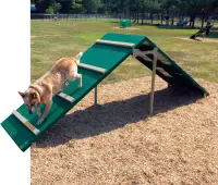 BarkPark King of the Hill