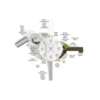 Florida Elm Canopy Quest