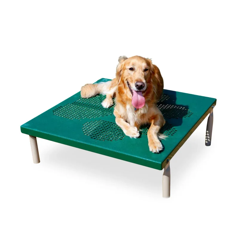 BarkPark Paws Grooming Table