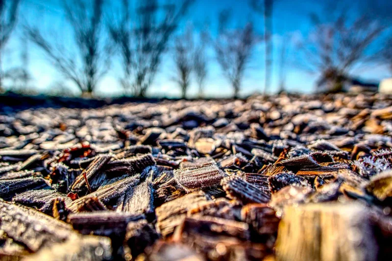 Playground Mulch 101 - Find Rubber Mulch and other Surfacing