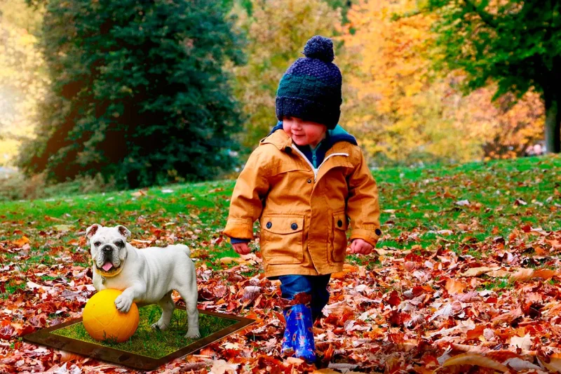 Playground Safety for your Children and Pets