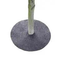 Rubberific Tree Ring - 3 pack