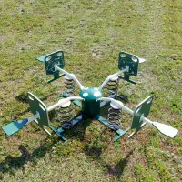 Animal Spring-A-Bout