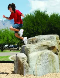 NatureROCKS Small Boulder - Dark Gray Granite