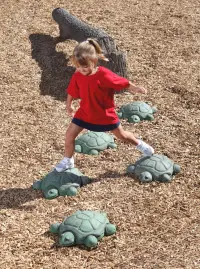 NatureROCKS Stepping Turtles (Set of 5 Turtles)