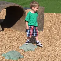 NatureROCKS Stepping Turtles (Set of 5 Turtles)