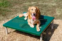 4-Piece Small Dog BarkPark Kit