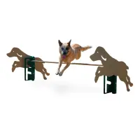 BarkPark Rover Jump Over