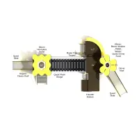 Gray Beech Canopy Quest