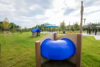 Nice Turn Recycled Plastic Dog Park Play Equipment