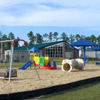 WoodCarpet Engineered Wood Fiber