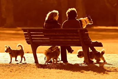 Park Bench Buying Guide