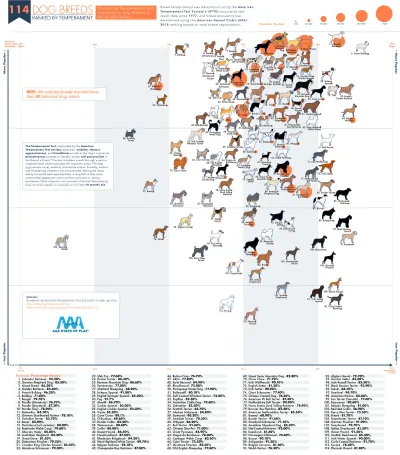 What Dog Breed Has the Best Temperament? - AAAStateofPlay.com - Infographic