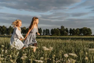 Three types of playgrounds traditional natural adventure